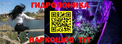 экстази Новодвинск
