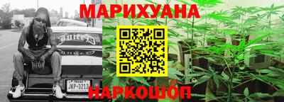 индика Новозыбков