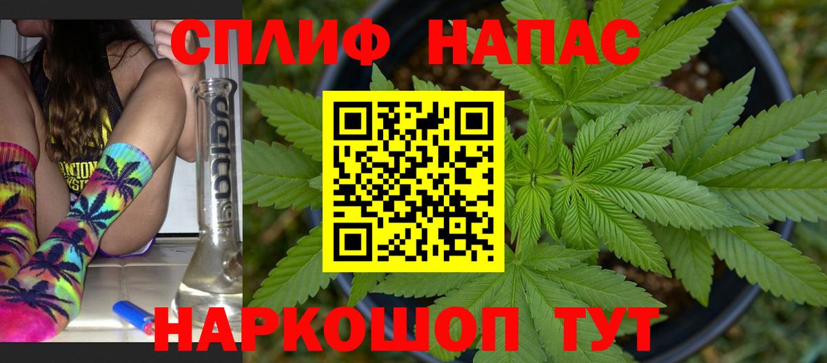 Шишки марихуана конопля  Шишки марихуана семена  Марихуана гибрид  Соликамск  Вход с VPN  Каннабис план 